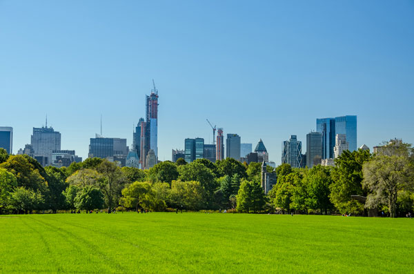 central park skyline